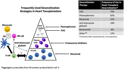 Current Desensitization Strategies in Heart Transplantation